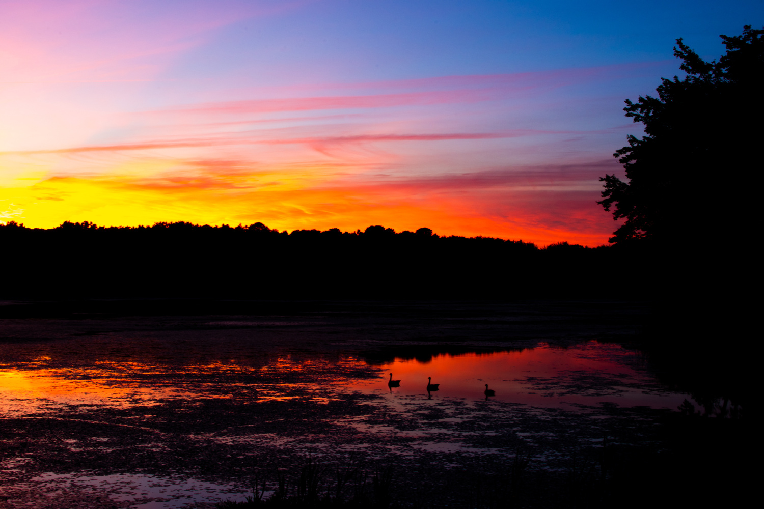 View Untitled 2 by Christian Vidal