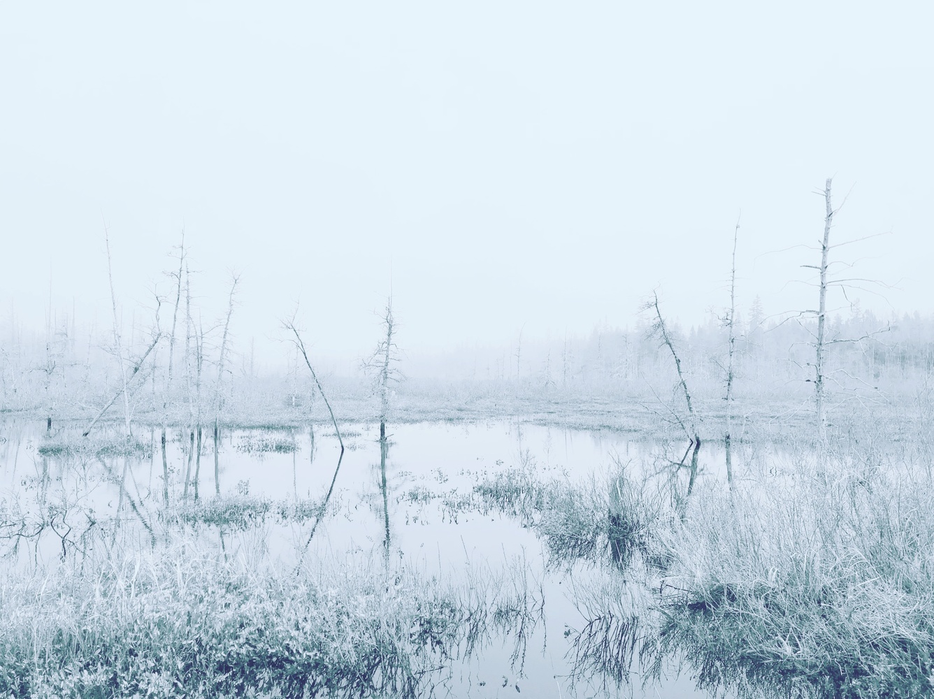 View Untitled 4 by Ryan Rogowski