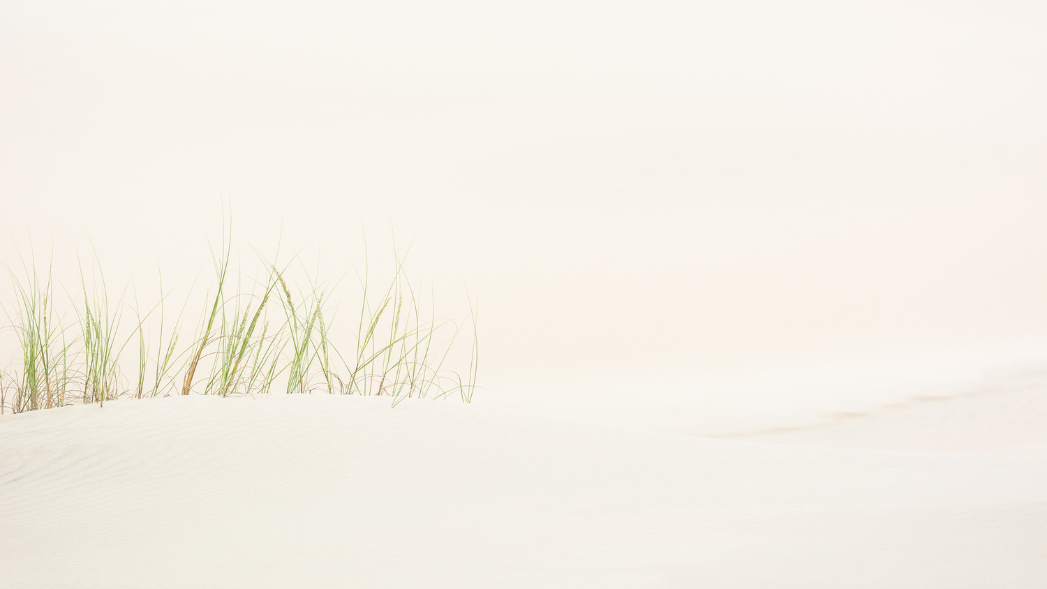 View Subtle Dunes by Rodrigo Malutta