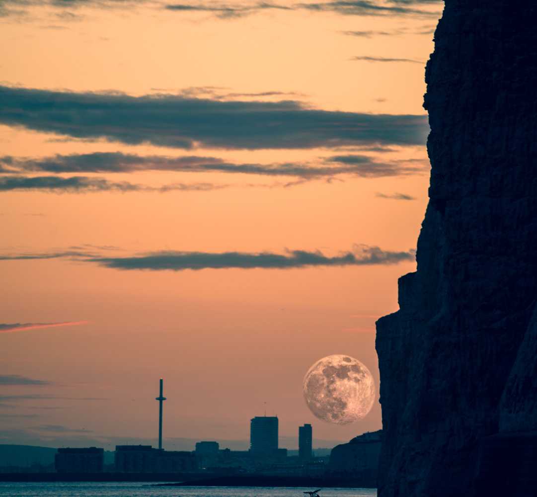 View Untitled 10 by Tamas Czako