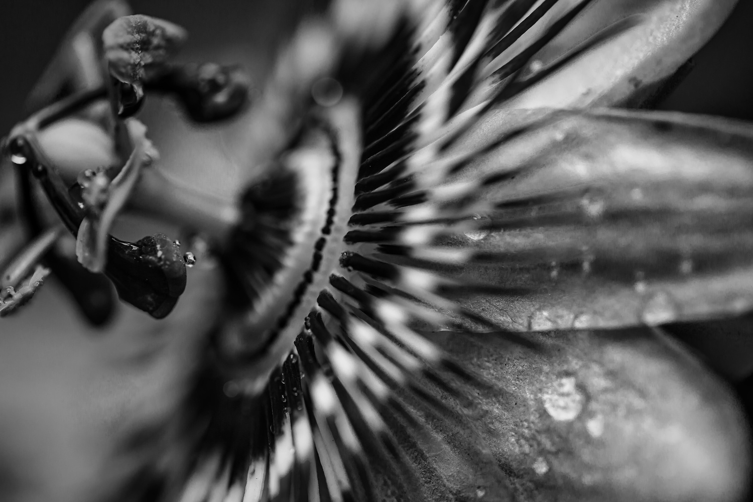 View Untitled 3 by Dayne Farley