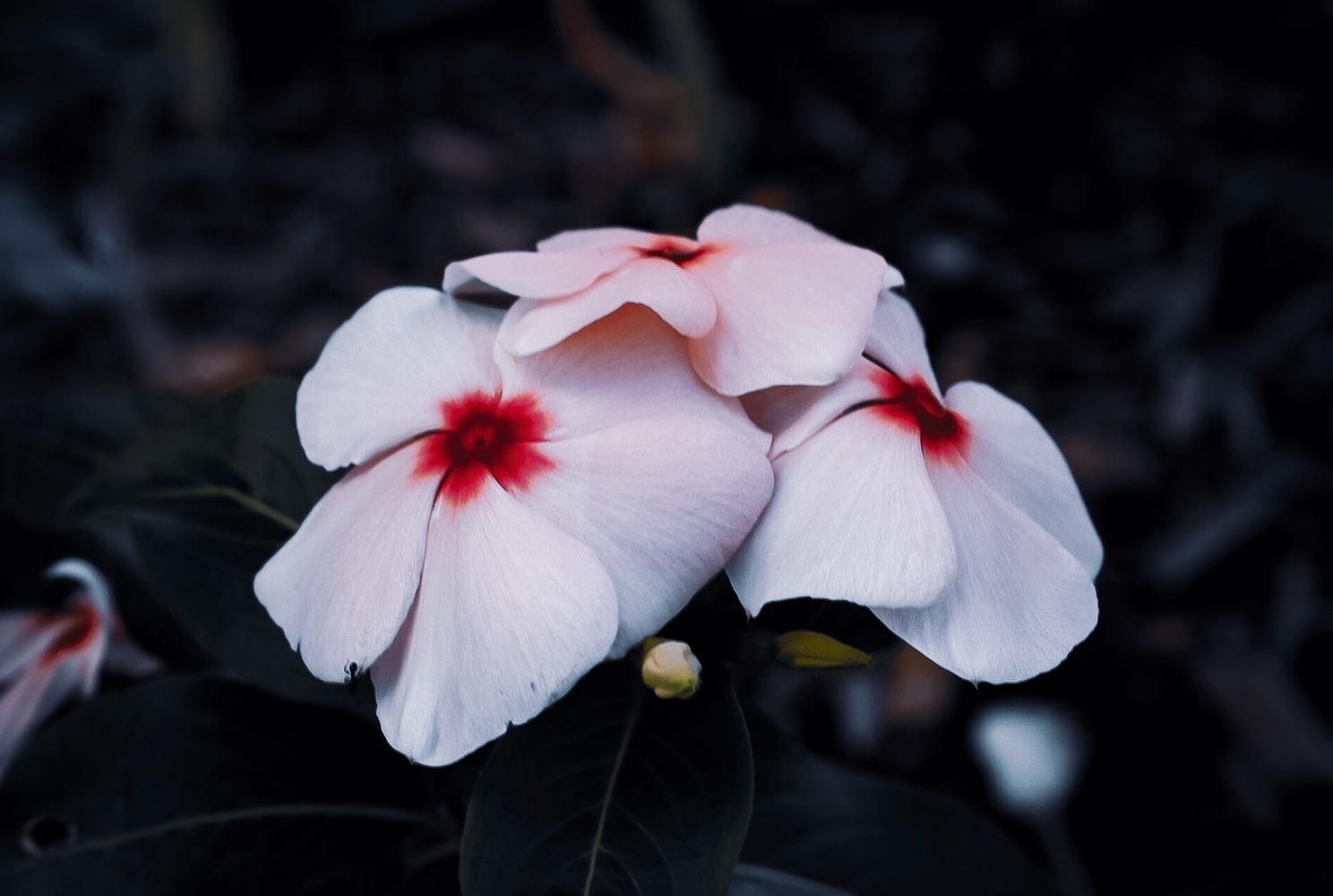 View Untitled 8 by Joshua Barclay