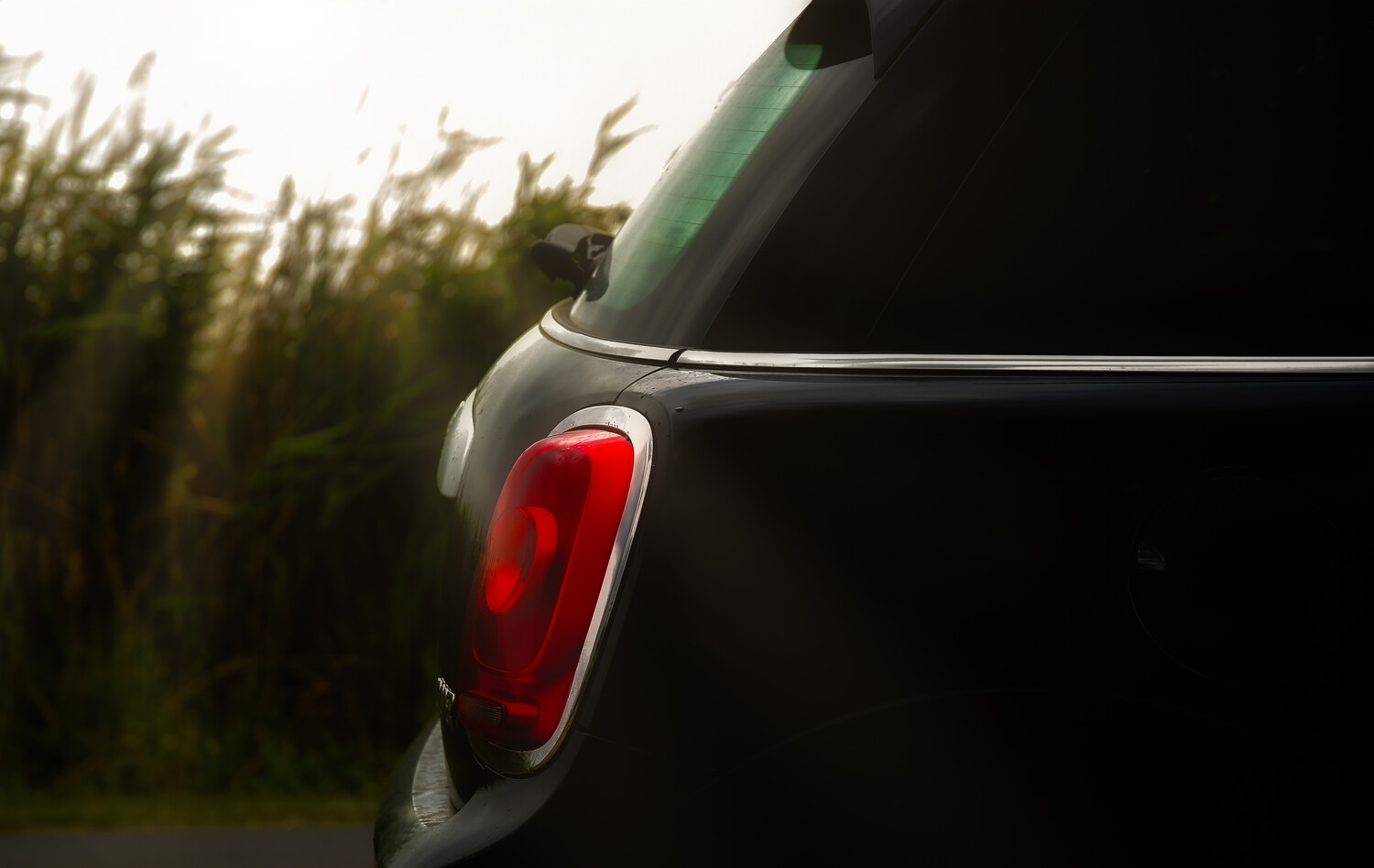 Red taillight of a dark vehicle against a blurred green cornfield background