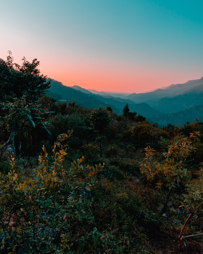 View Morning Dew by Sk Manchanda