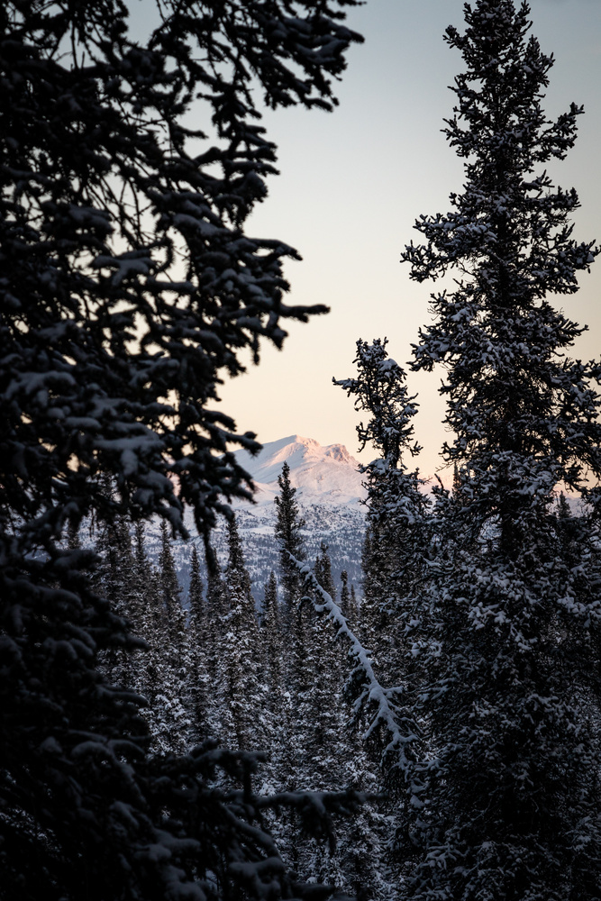 View Untitled 2 by John Beasley