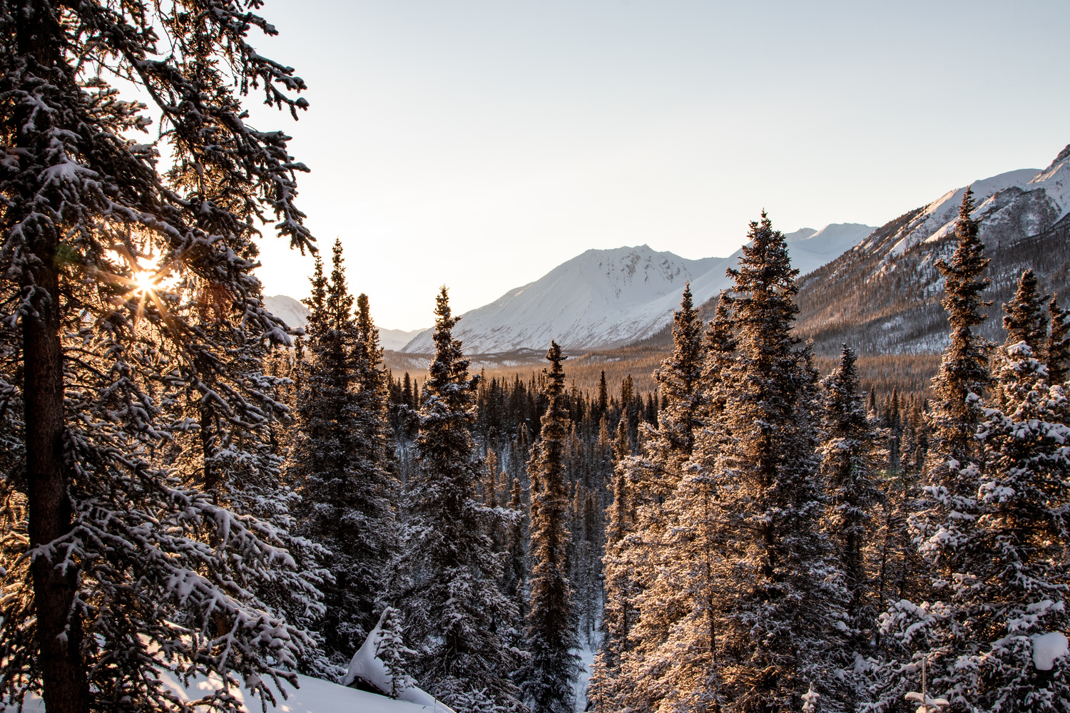 View Sunrise in the mountains by John Beasley