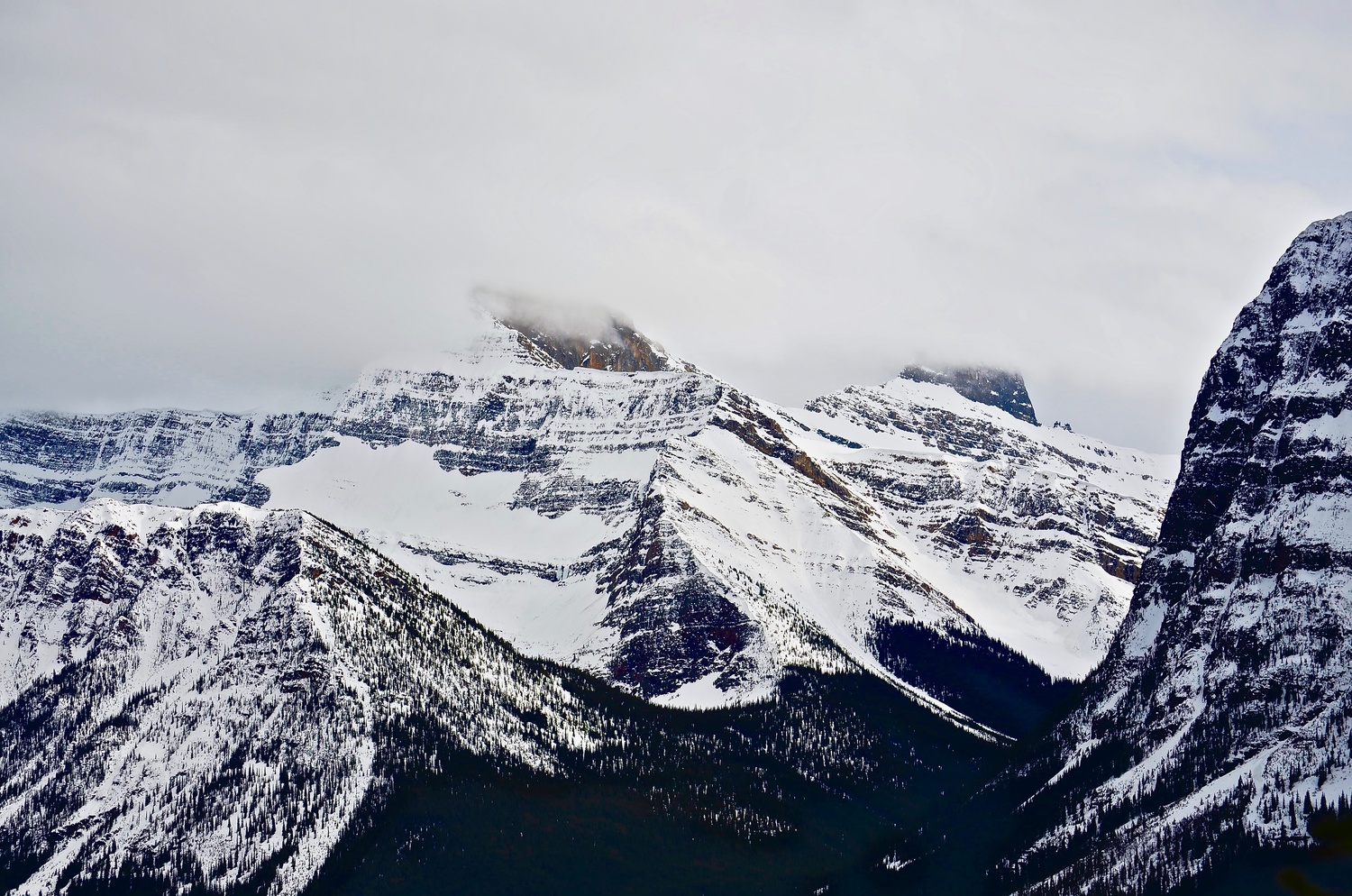 View Untitled 1 by Stefano Pezzetta