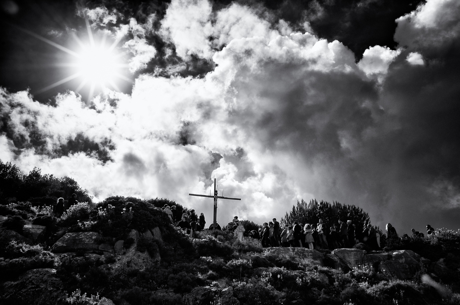 View “Heritage” by Todd Rigos