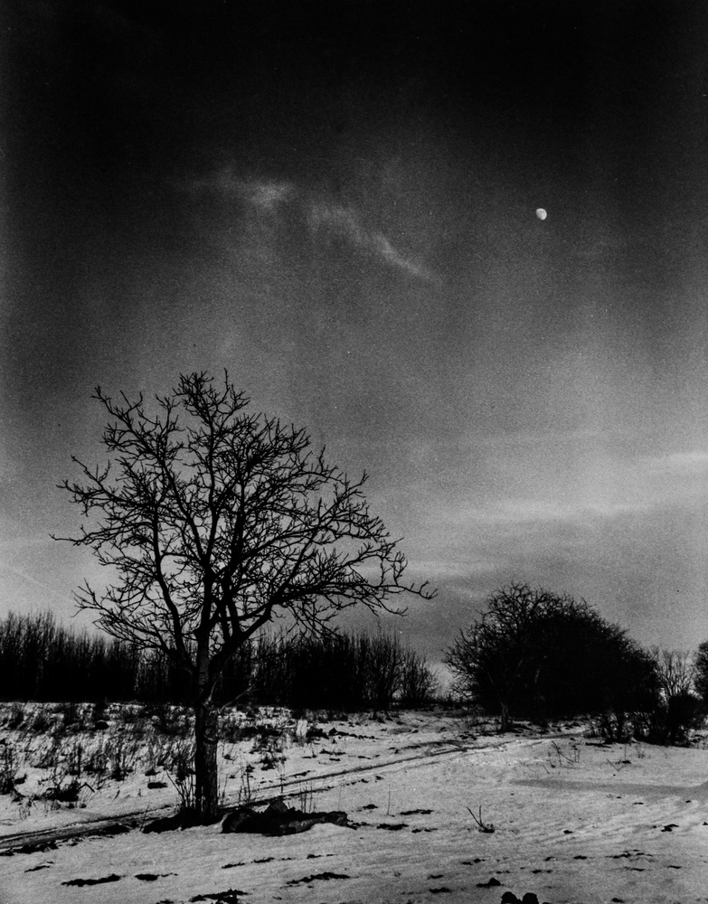 View Untitled 1 by Volodymyr Demkiv