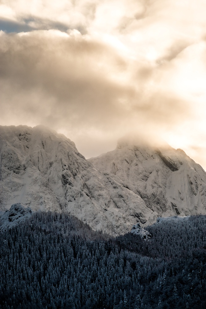 View Untitled 2 by Mateusz Kita