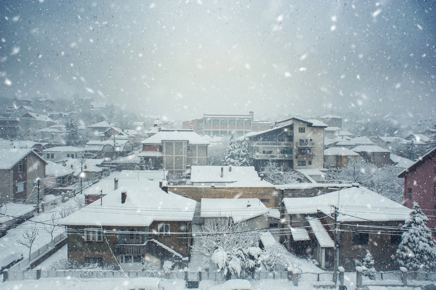View Untitled 1 by Milos Momcilovic