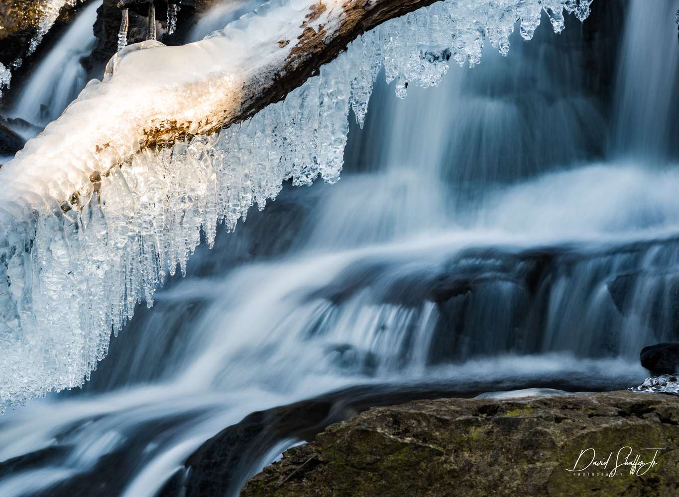 View Untitled 1 by david shaffer