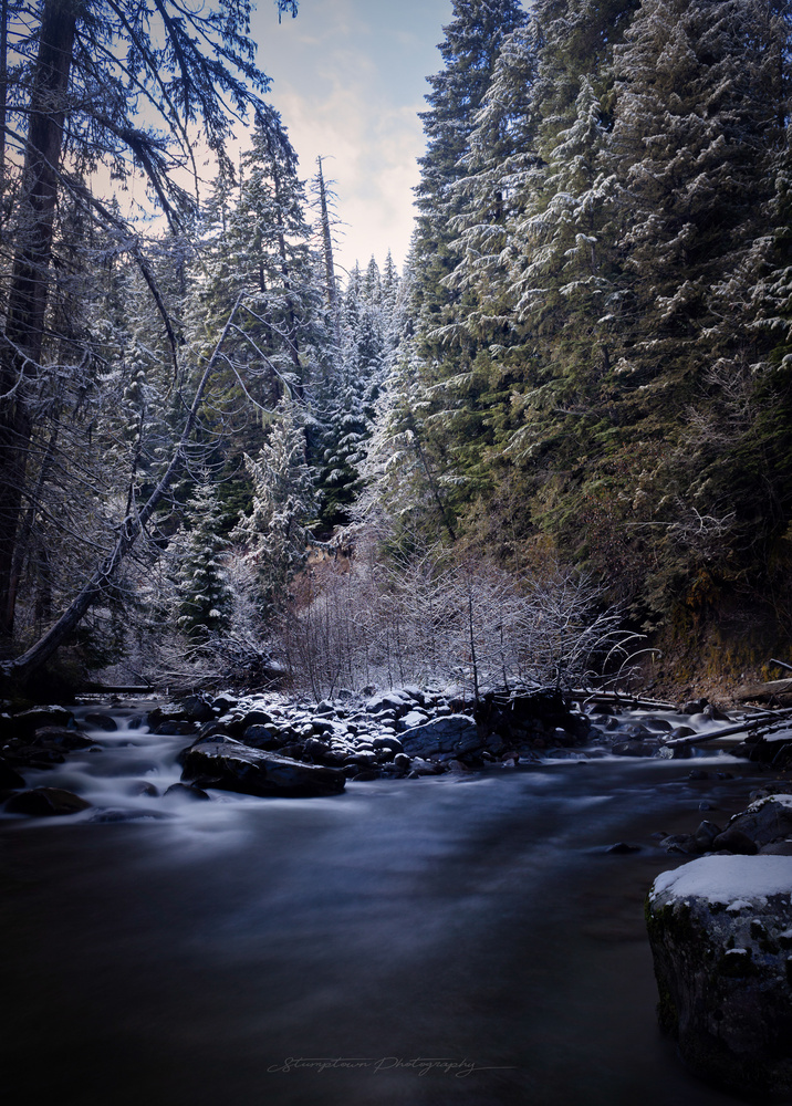 View Untitled 1 by Jesse Andreasen