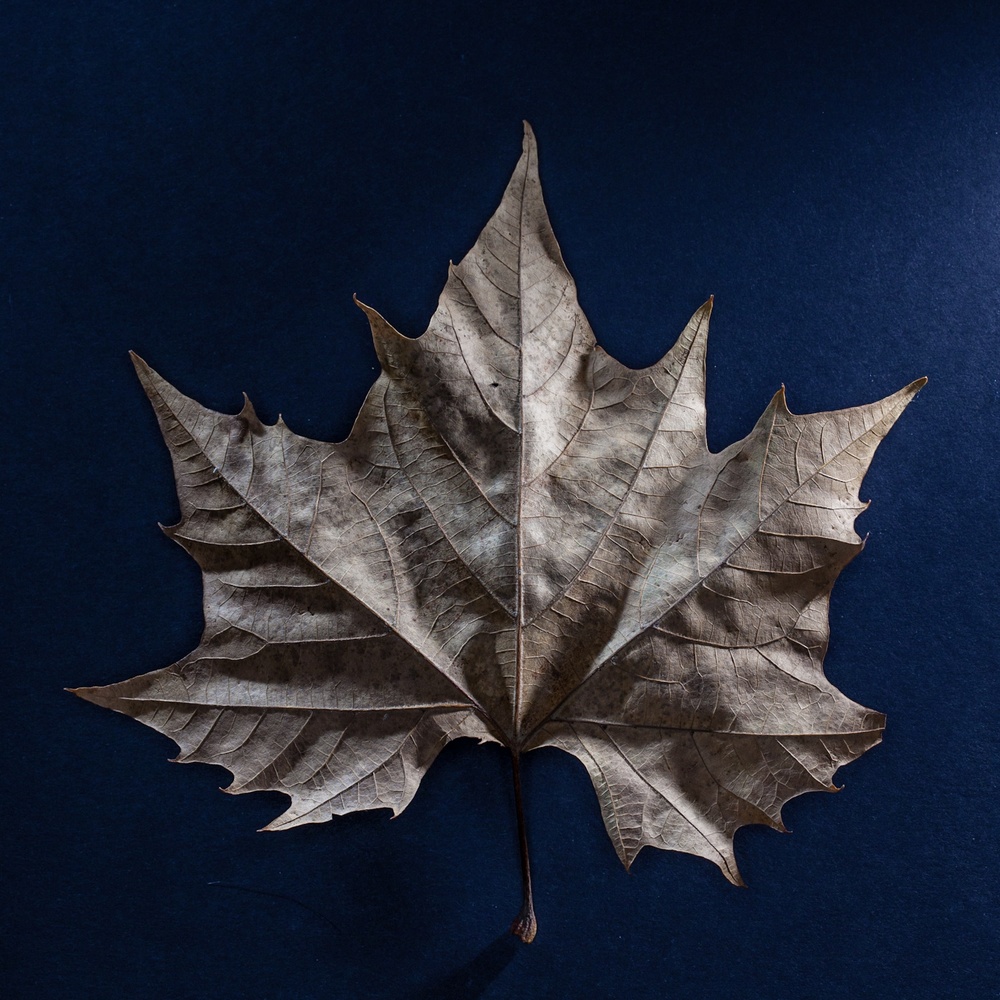 View Untitled 8 by Ben Nickelson