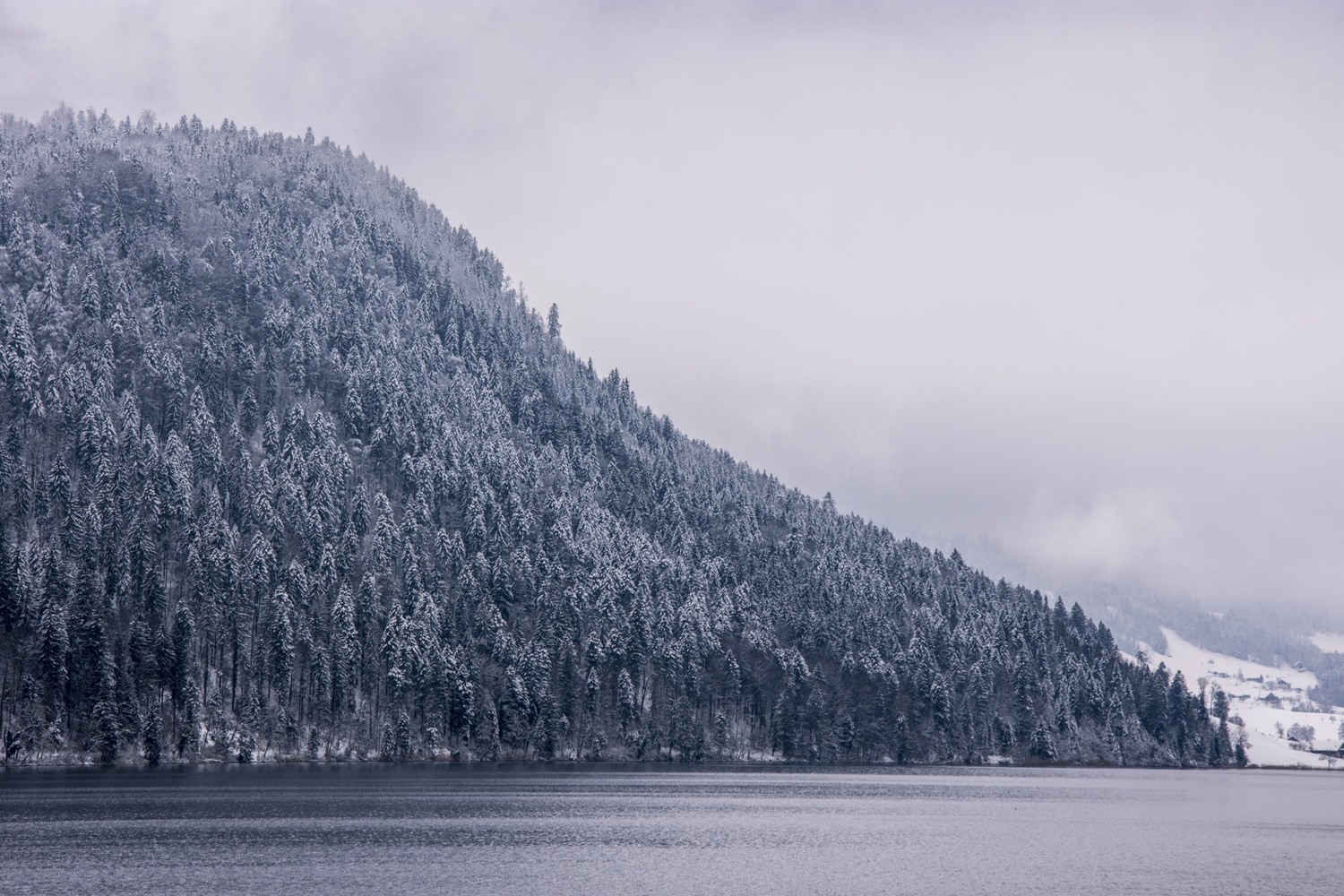 View Untitled 1 by Michael Fallegger