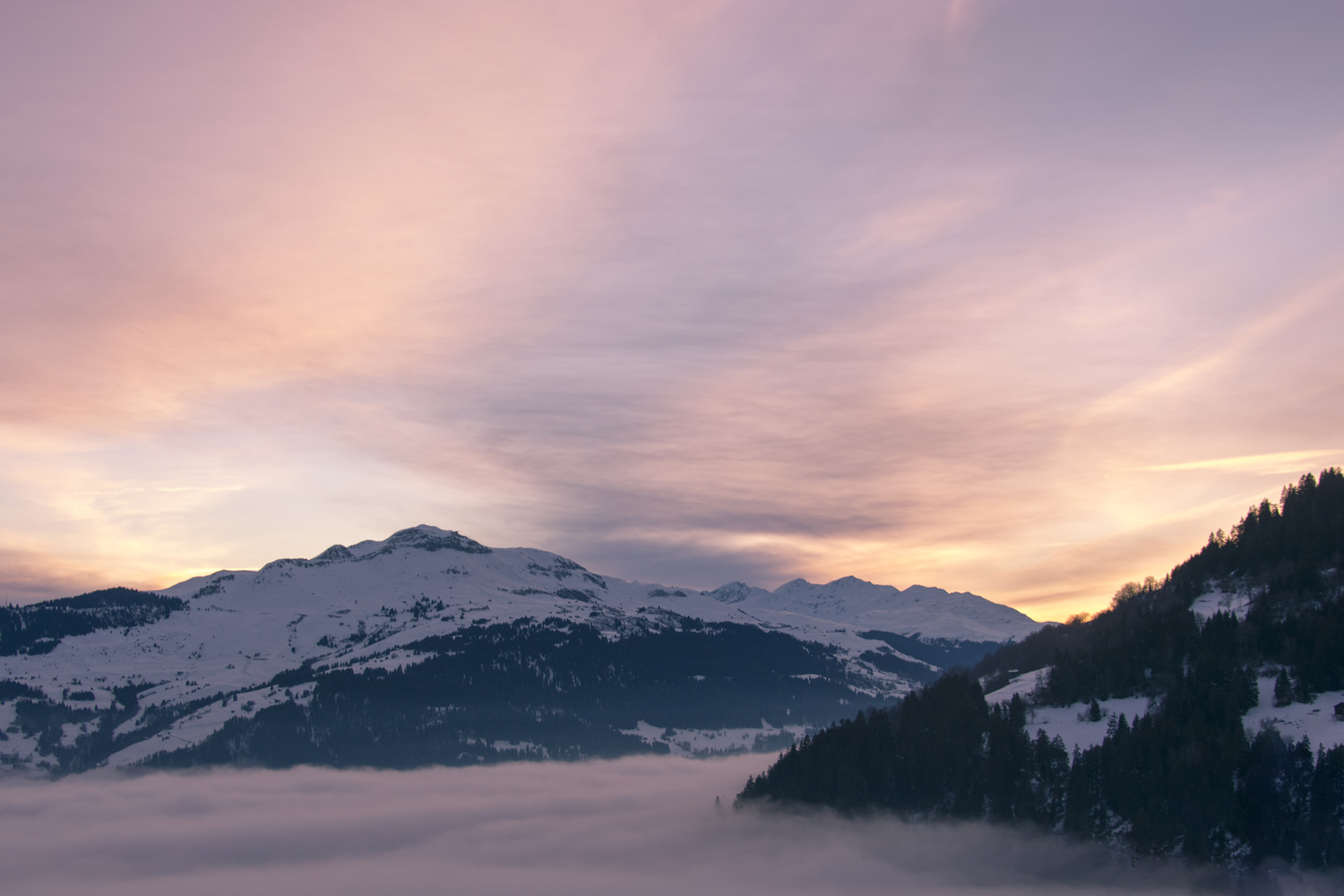View Untitled 2 by Michael Fallegger