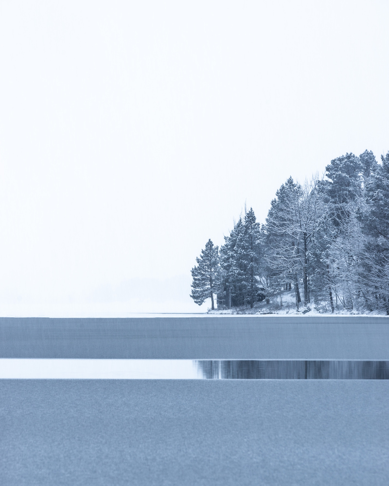 View Untitled 1 by Tord Kristian Larsen