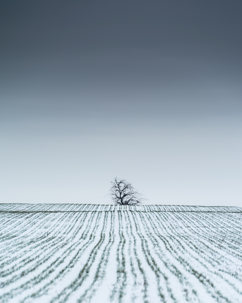 View Untitled 1 by Michal Stojan