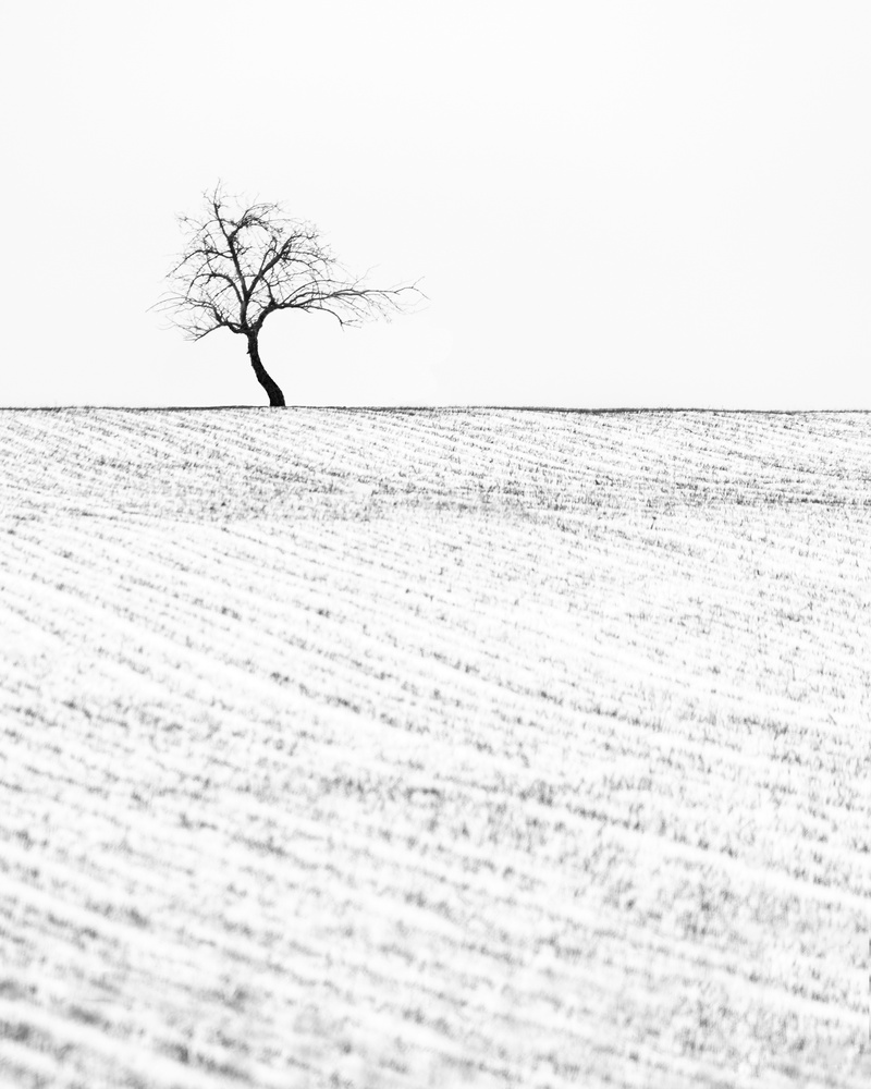 View Untitled 2 by Michal Stojan