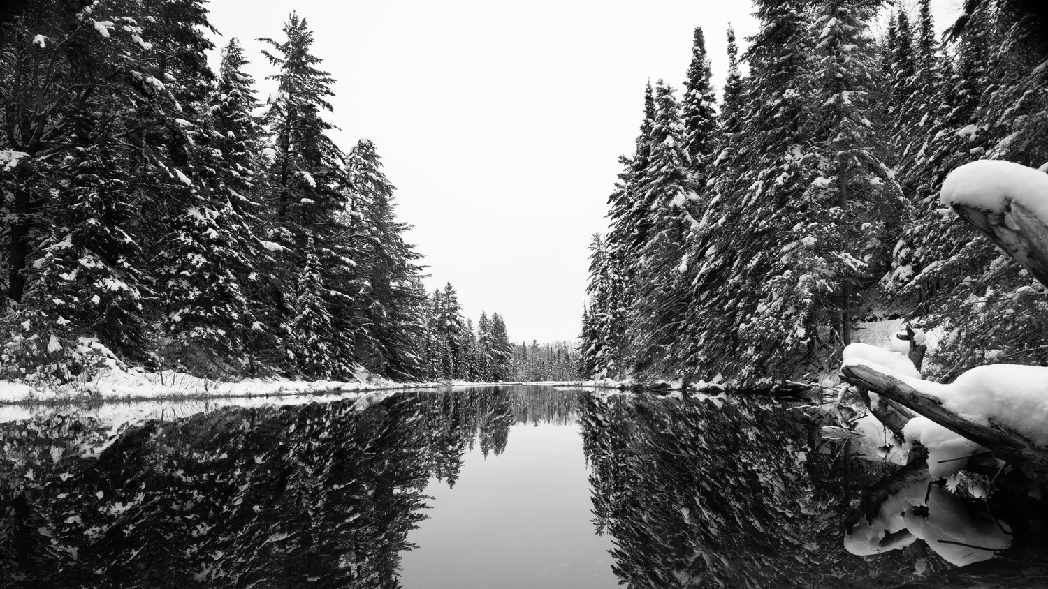 View Untitled 1 by Lance Anderson