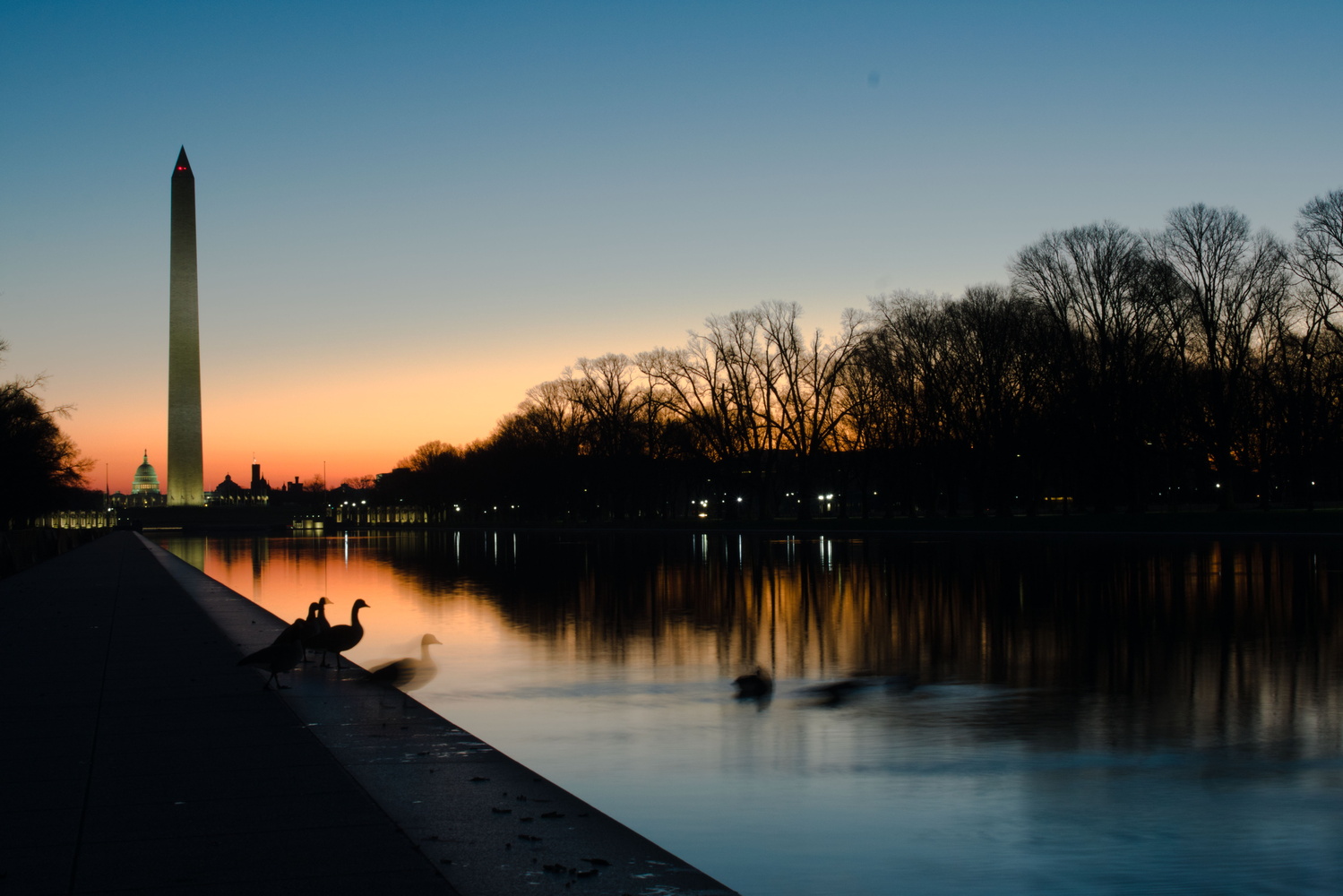 View DC Sunrise by Schyler Sanks
