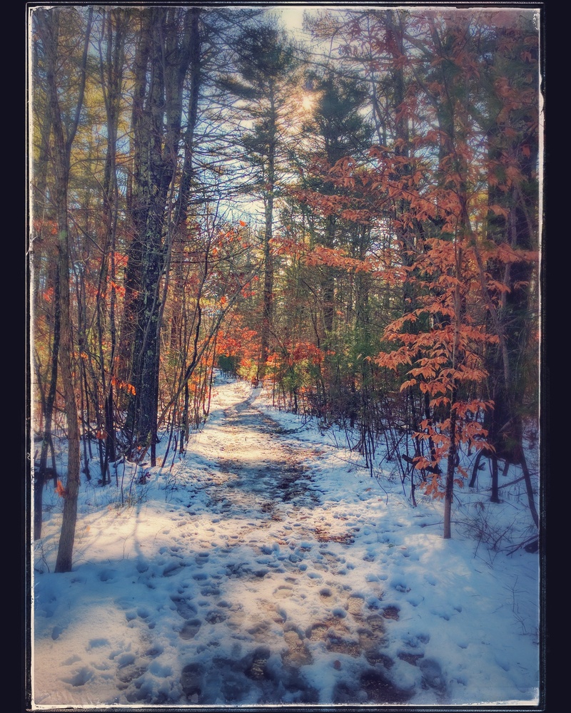 View Winter warmth on the trail by Gilbert Rod