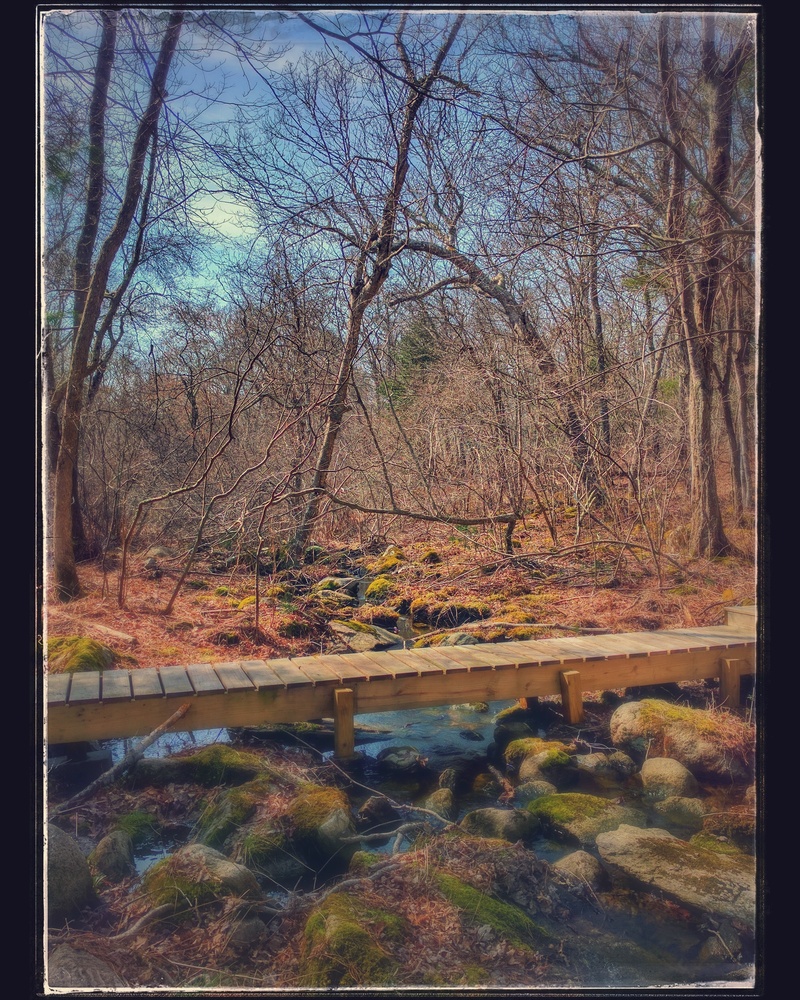 View Across the footbridge by Gilbert Rod