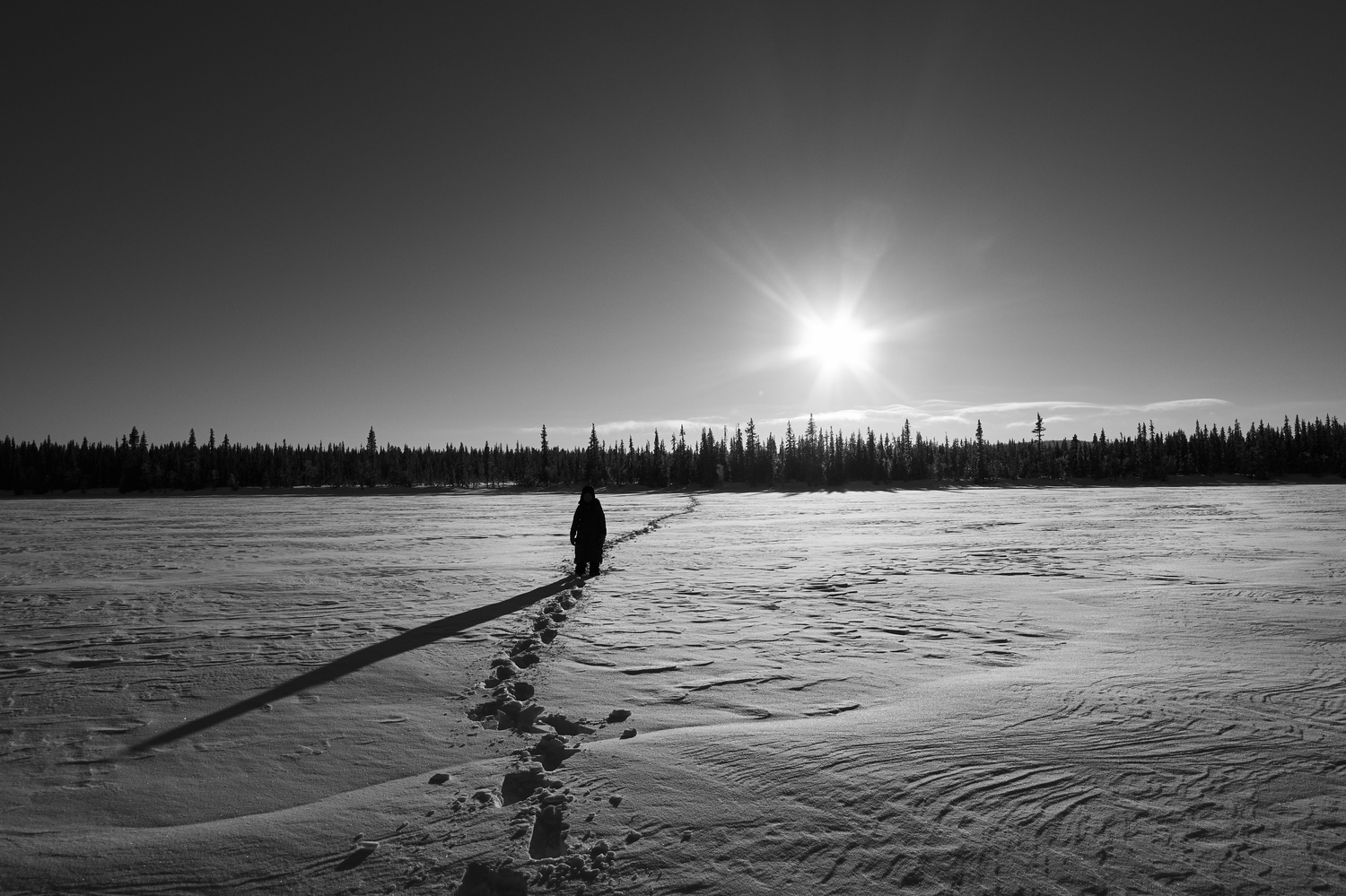 View Untitled 1 by Daniel Philipps