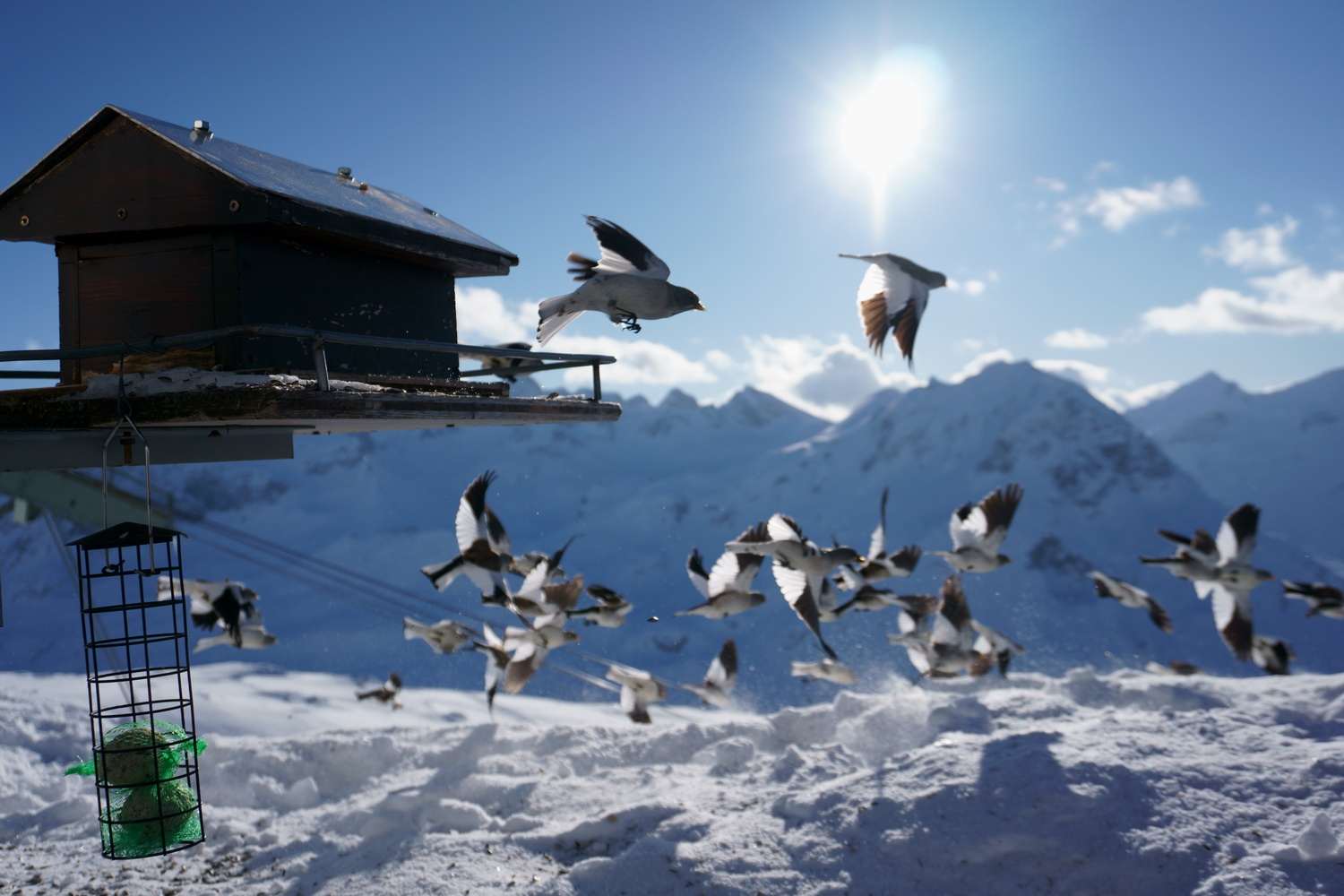 View Birds Eye View by Karlo Safarek