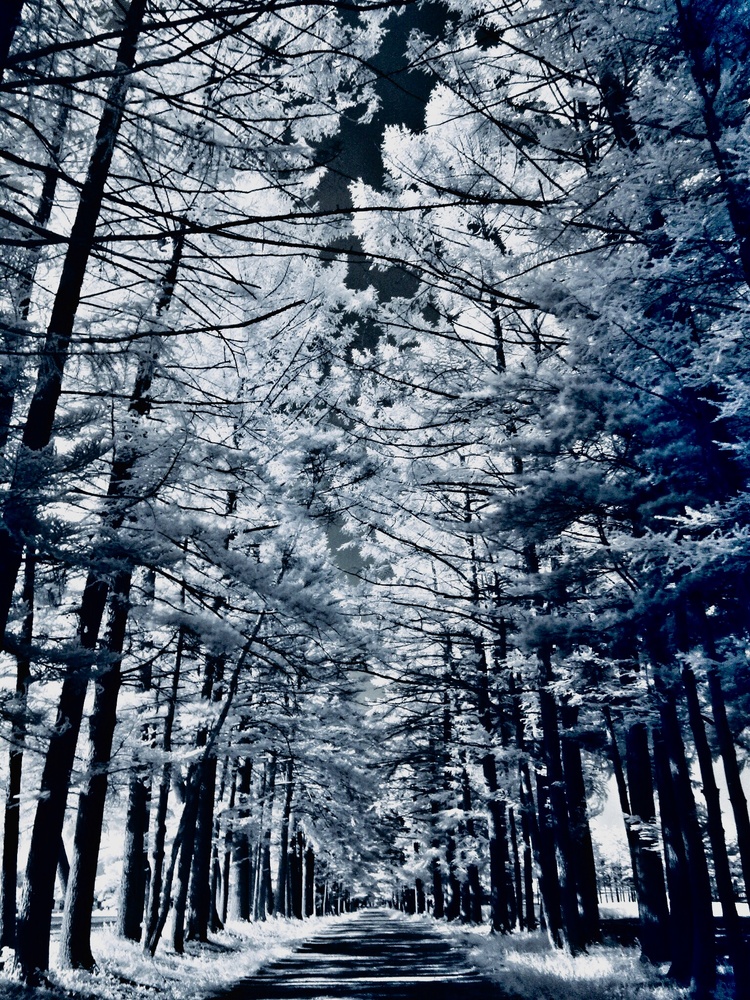View Saku by take suzu
