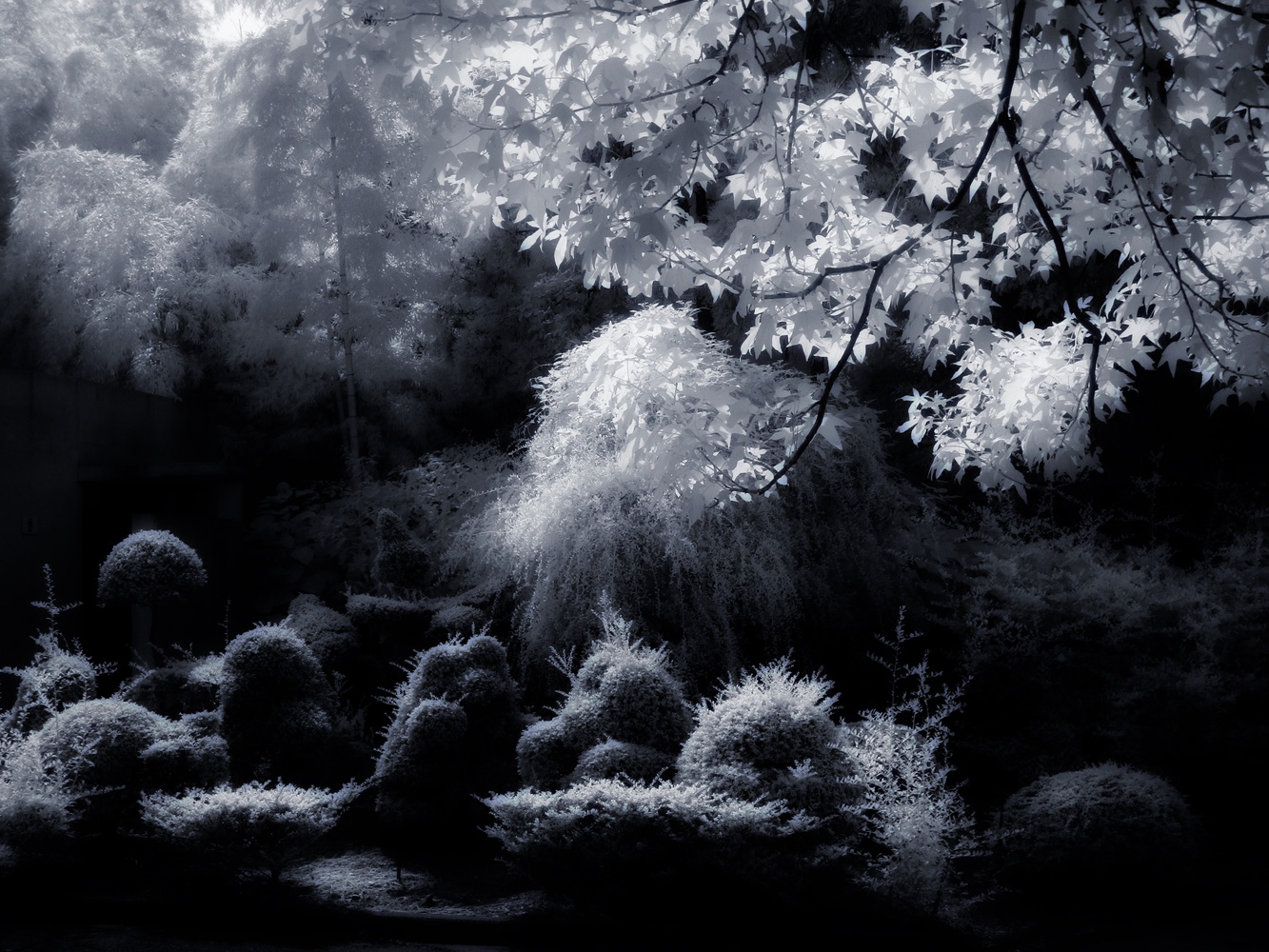 View Bottom by take suzu