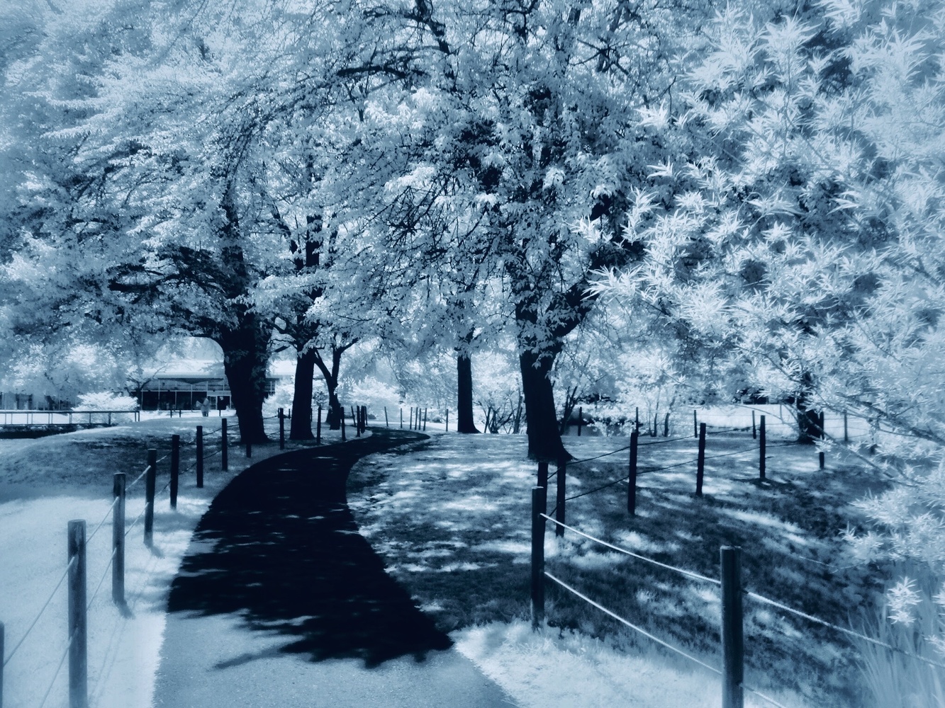View Karuizawa2 by take suzu