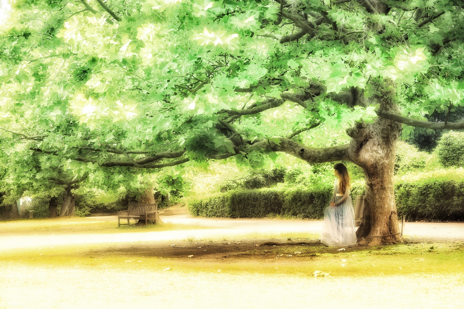 View Untitled 15 by take suzu