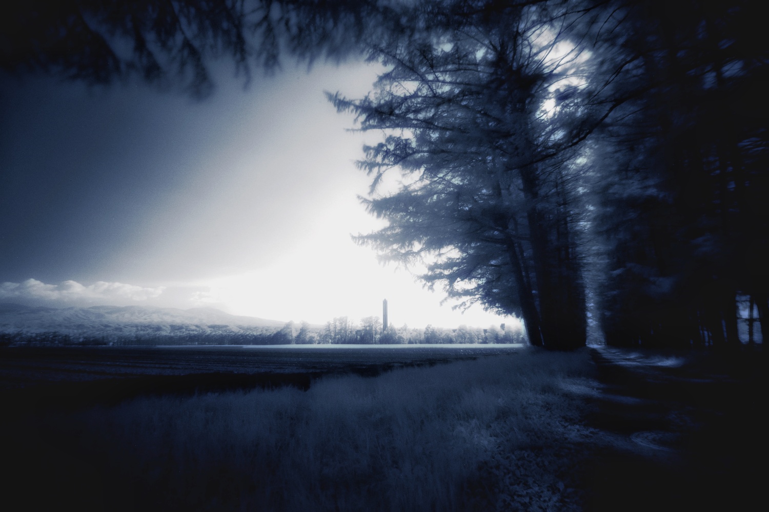 View Untitled 5 by take suzu
