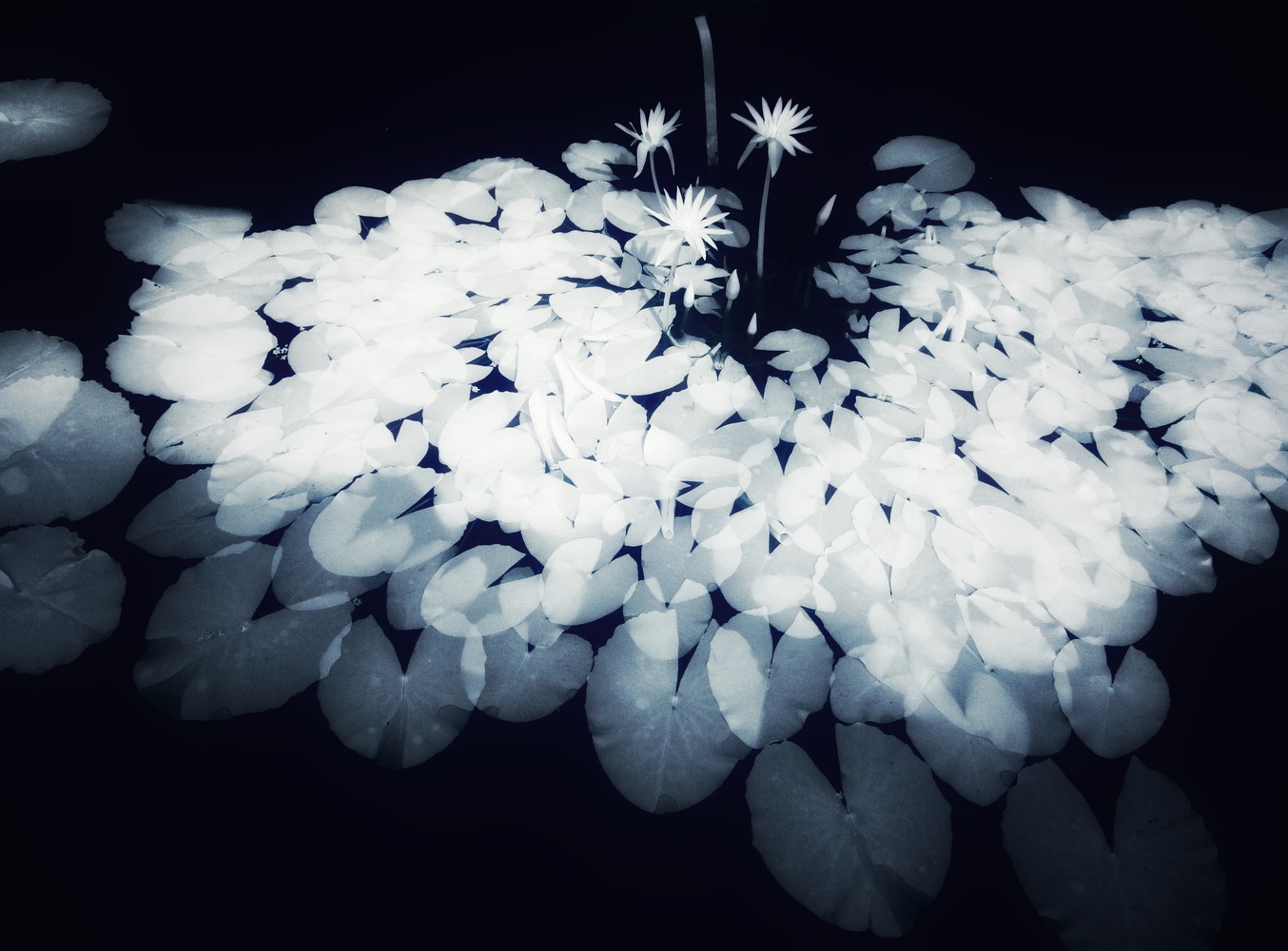 View Untitled 16 by take suzu
