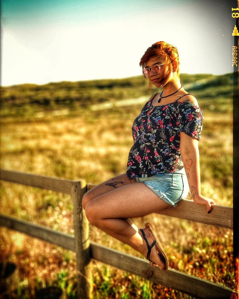 View Posing for the sun by Paulo Desa