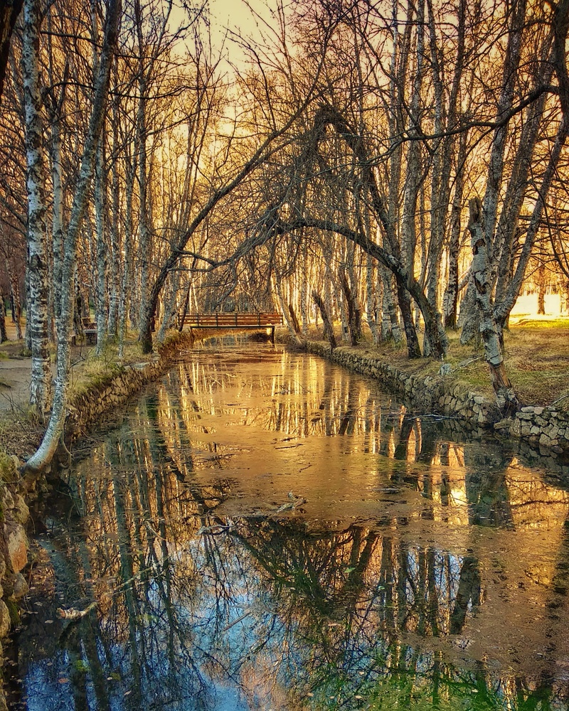 View River bed by Paulo Desa