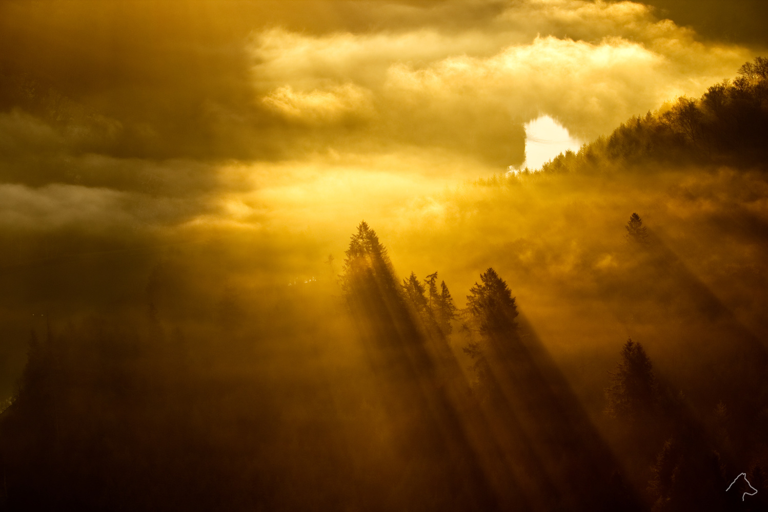 View Untitled 2 by Michael Wolf
