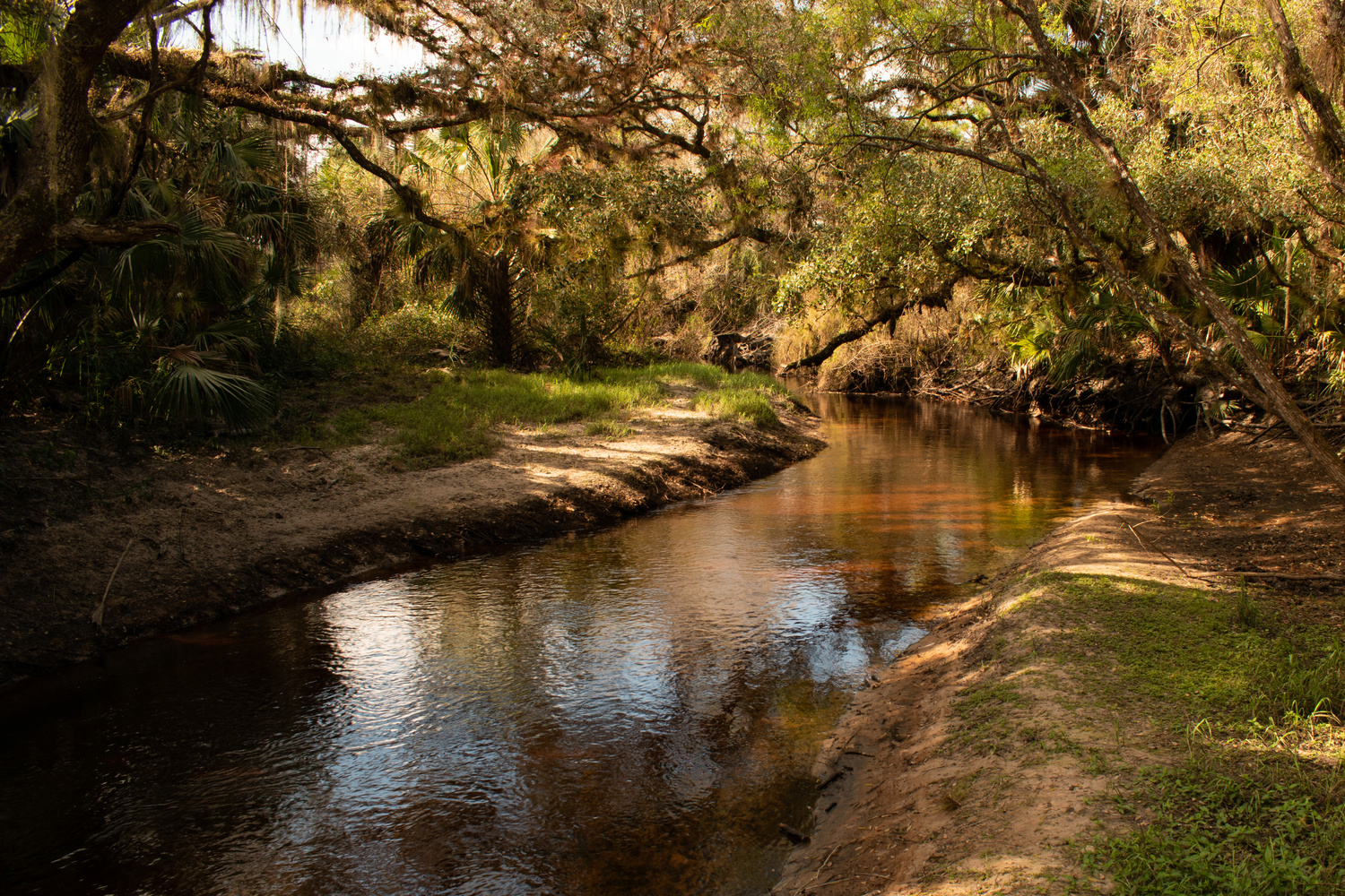 View Creek by Mark Taylor