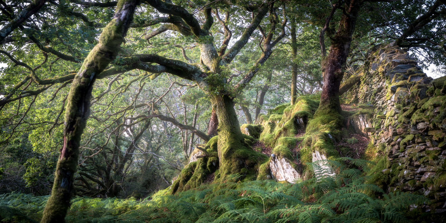 View Untitled 2 by Arran Saunders