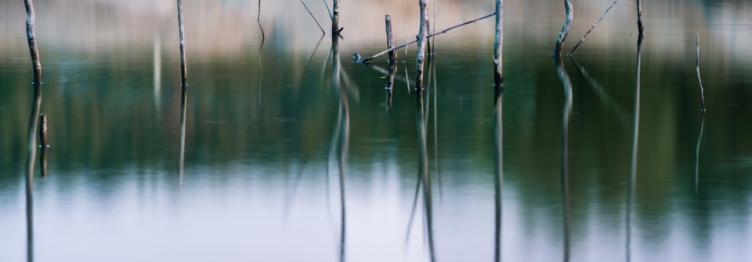 View Untitled 1 by Jacob Gilbreath