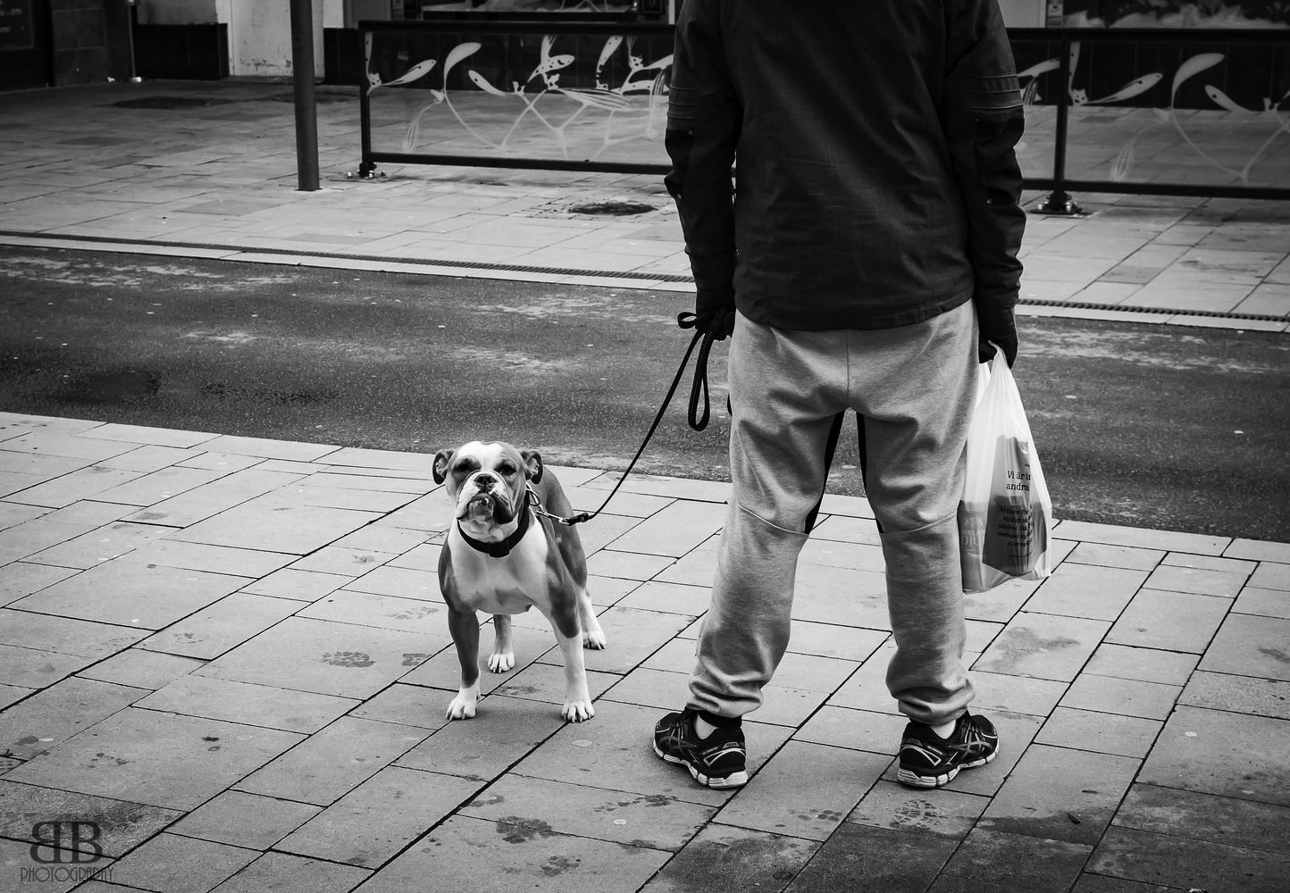 Dogs Contest Entry By Bert Bastias Fstoppers