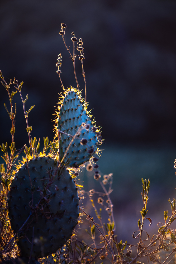 View sharp light by Matt Howard