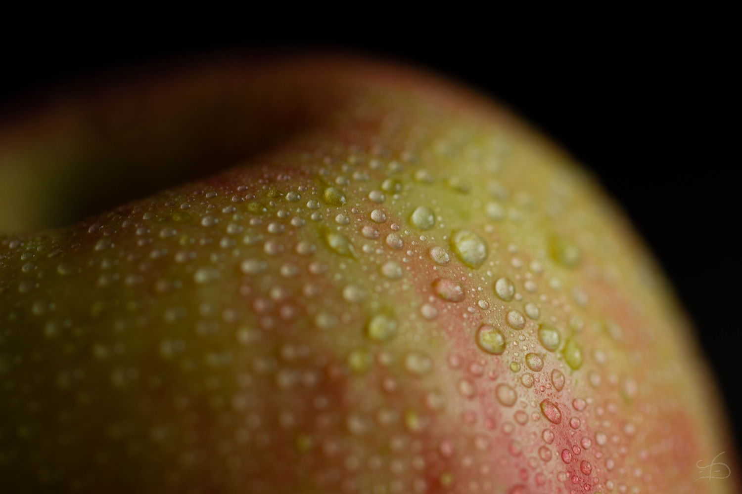 View Fuji Apple by Todd Darling