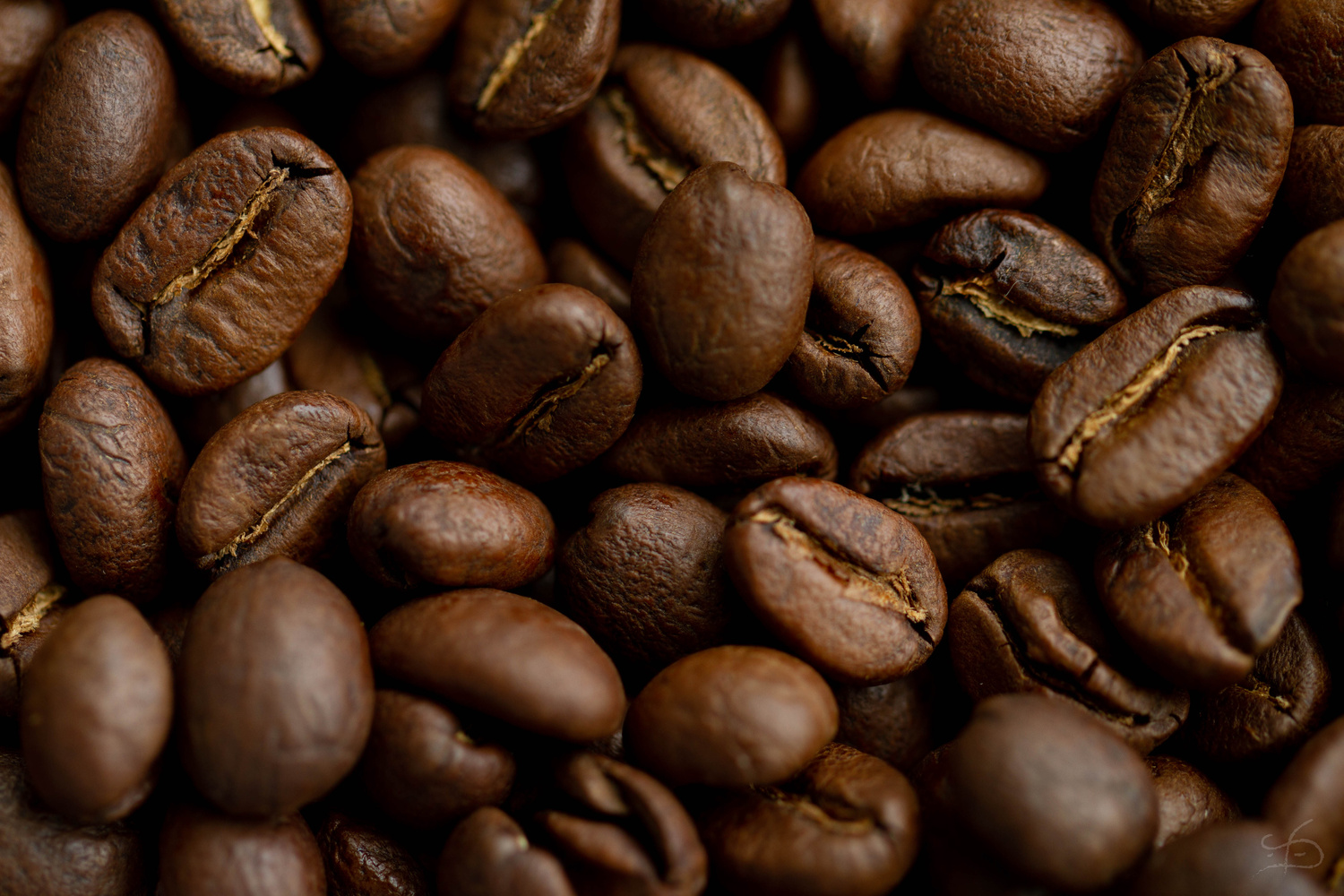 View Coffee by Todd Darling
