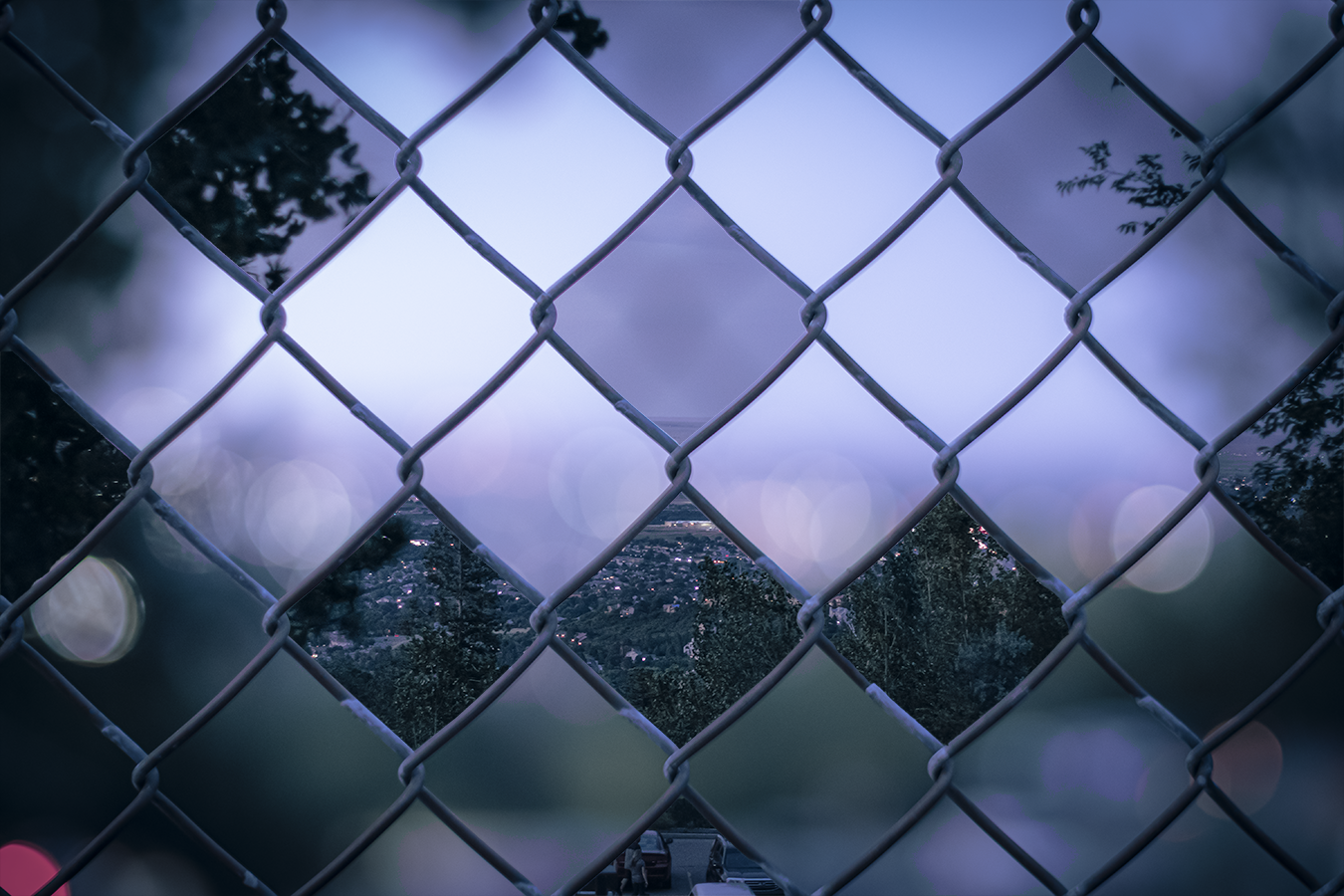 View Untitled 8 by Roger Bernal