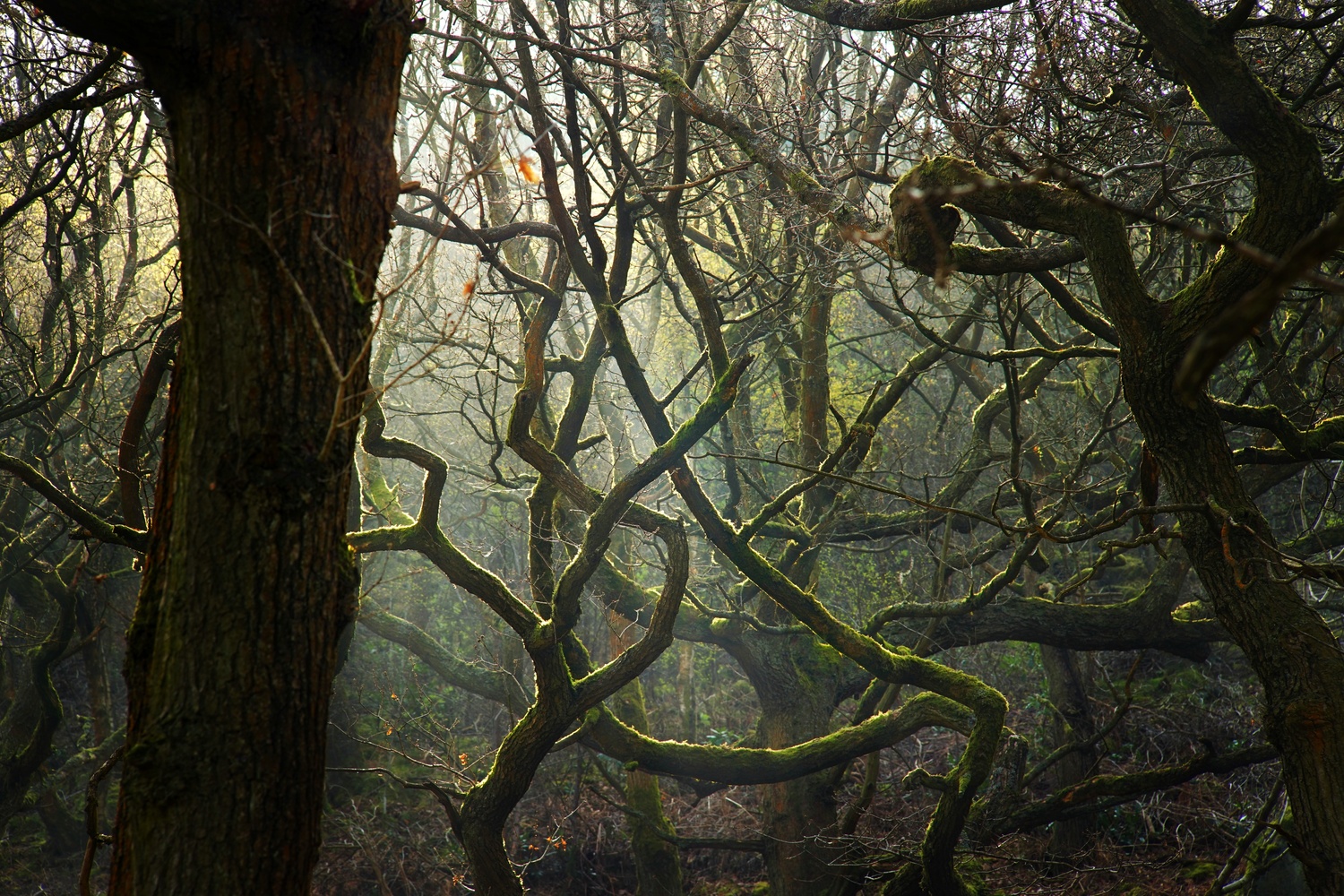 View Untitled 3 by Josh Glaister