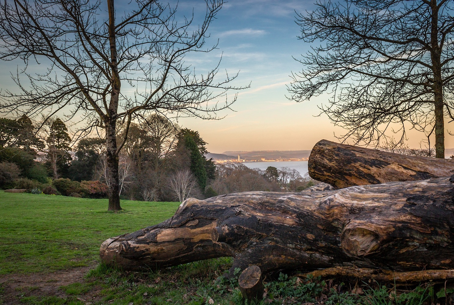 View Swansea Bay by Jen Oldham