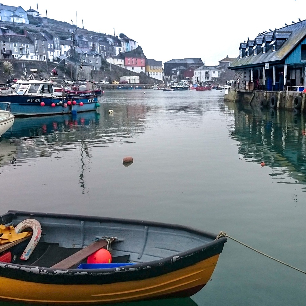 View Mevagissey Harbour by Jen Oldham