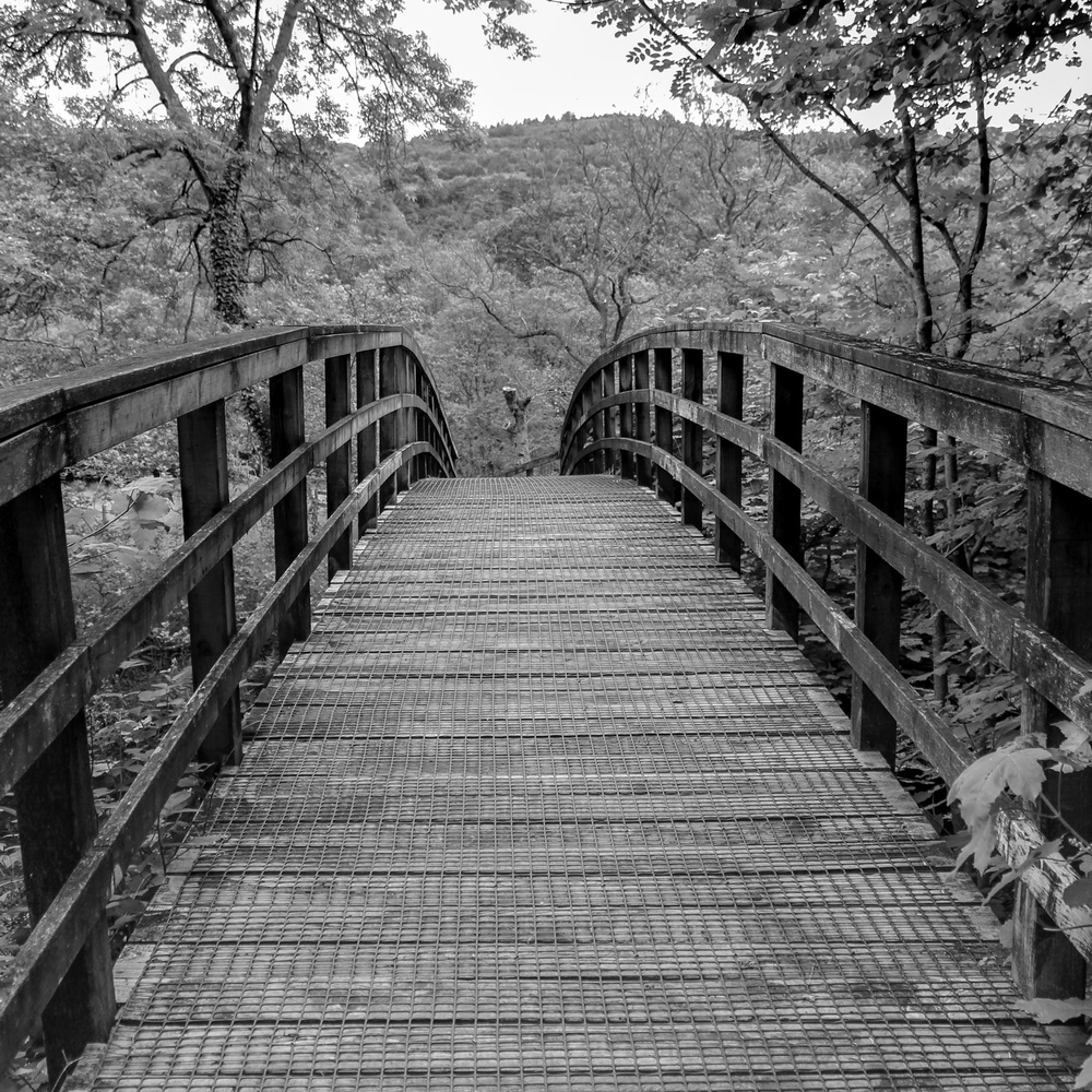 View Footbridge by Jen Oldham